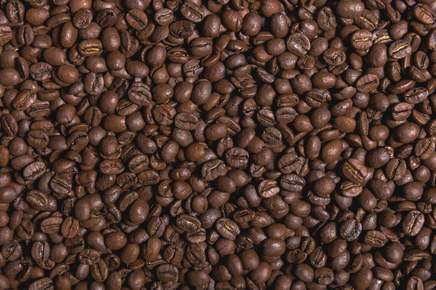 OSCURO Dark Roast 2 lbs – Dahlia Coffee Co.